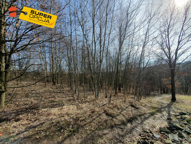 Działka budowlana Golkowice gm. Wieliczka,