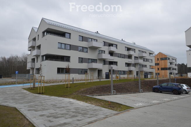 Nowe mieszkanie do wynajęcia