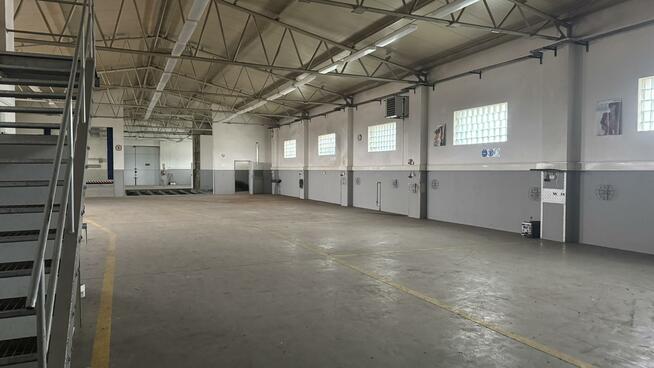 Lokal użytkowy Brzeźnik gm. Bolesławiec