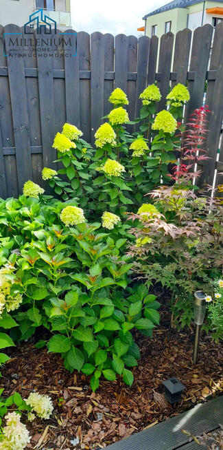 MIESZKANIE Z OGRODEM ORAZ PEŁNYM WYPOSAŻENIEM !!!