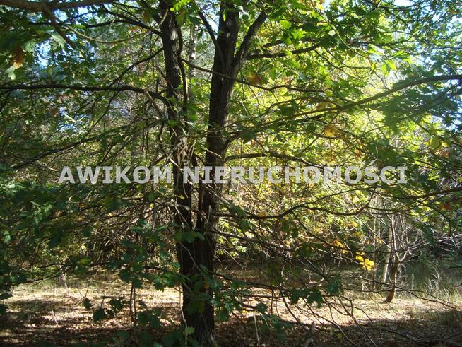 Działka budowlana Żelechów gm. Żabia Wola