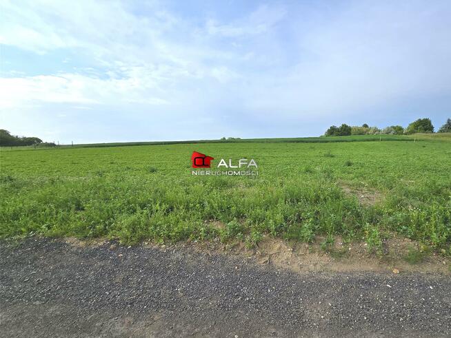 Działka budowlana Mrowiny gm. Żarów