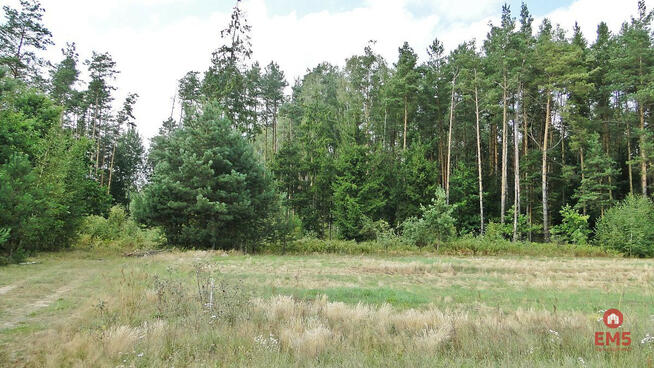 Działka budowlana Zalesiany gm. Turośń Kościelna,