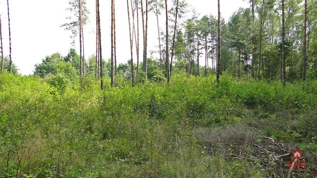 Działka budowlana Zalesiany gm. Turośń Kościelna,