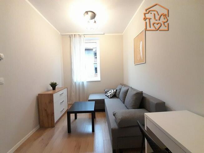 Wynajmę studio przyjazne zwierzętom, Cmentarna 26