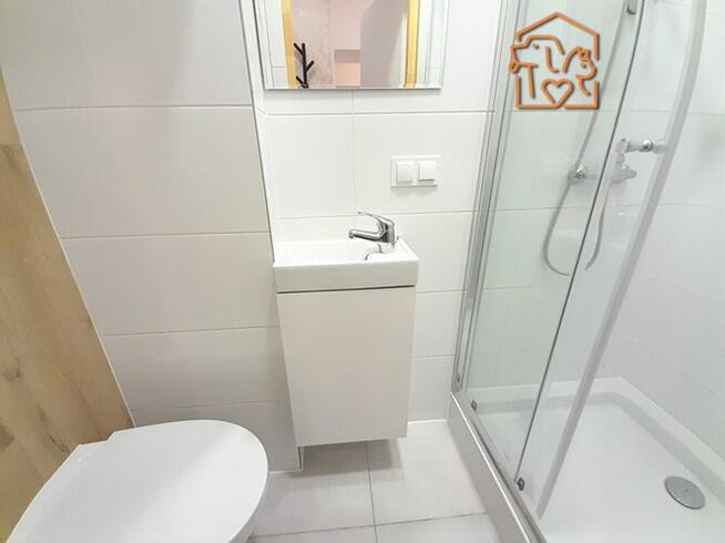 Wynajmę studio przyjazne zwierzętom, Cmentarna 26