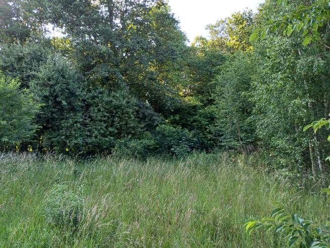 Działka budowlano-rolna w Bełchatowie