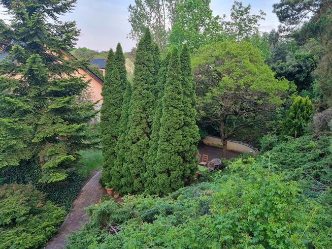 Dom na dużej zielonej działce w Puszczykowie