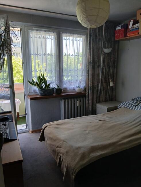 Sprzedam mieszkanie 3-pokoje +kuchnia + piwnica +