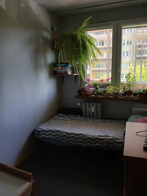 Sprzedam mieszkanie 3-pokoje +kuchnia + piwnica +