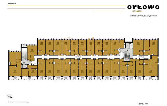 Przestrzeń między klifem, a sukcesem!