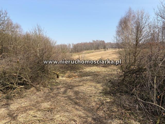 Działka budowlana Wodzisław Śląski