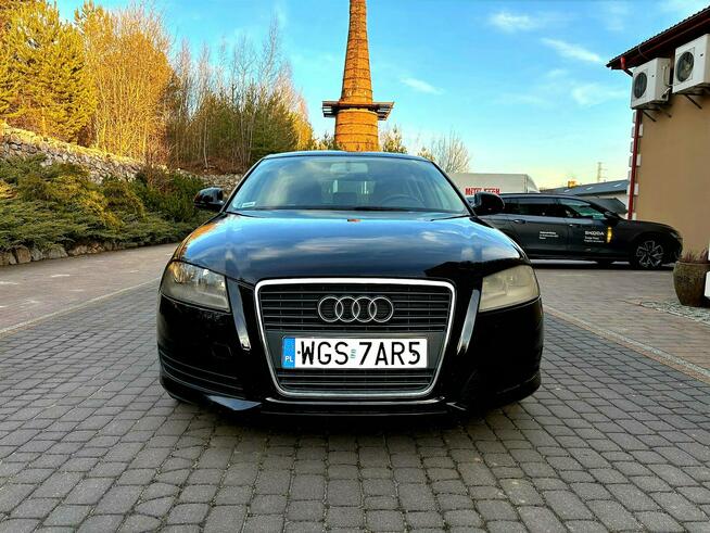 Audi A3 Lift 1.9 TDI DSG 5 Drzwi Serwis
