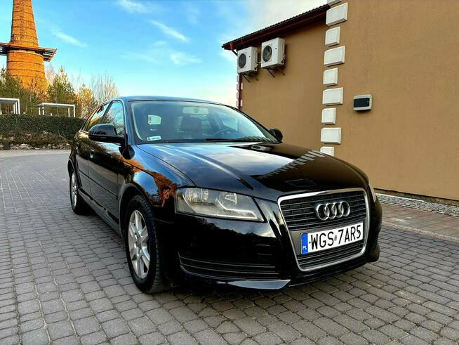 Audi A3 Lift 1.9 TDI DSG 5 Drzwi Serwis