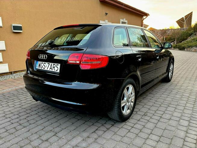 Audi A3 Lift 1.9 TDI DSG 5 Drzwi Serwis