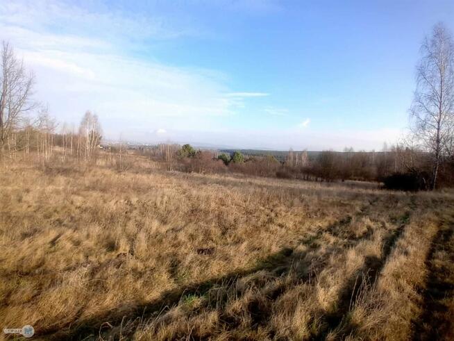 Działka usługowa Daleszyce Mójcza