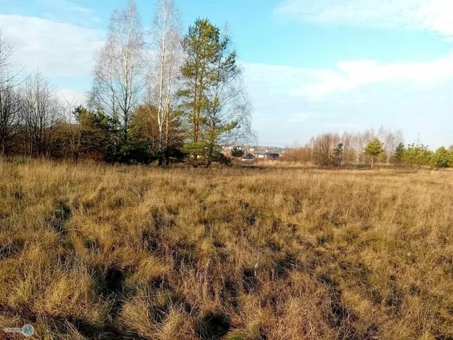 Działka usługowa Daleszyce Mójcza