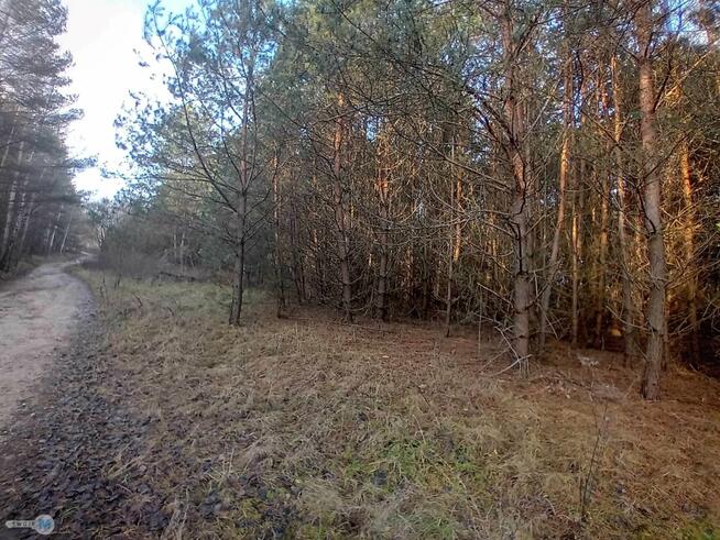 Działka usługowa Daleszyce Mójcza