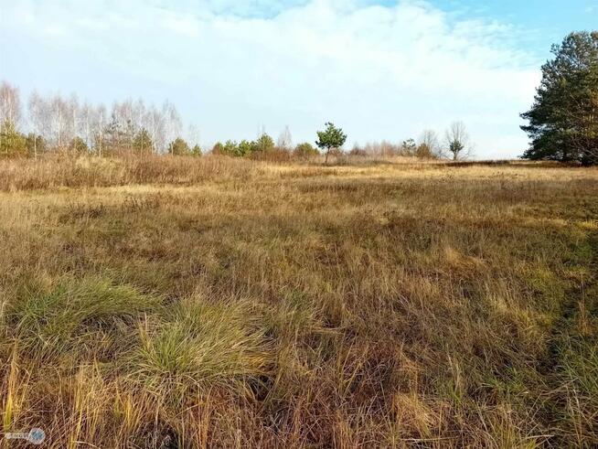 Działka usługowa Daleszyce Mójcza