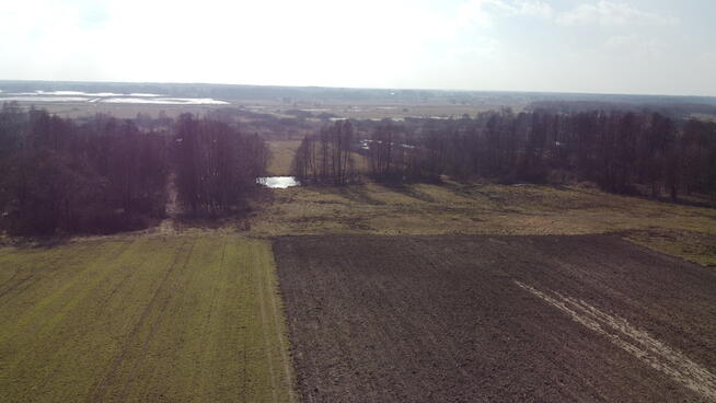 Piękna działka rolno-budowlana, Żminne, Parczew.