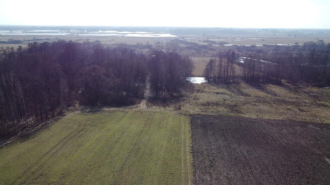 Piękna działka rolno-budowlana, Żminne, Parczew.