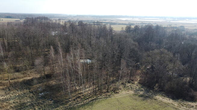 Piękna działka rolno-budowlana, Żminne, Parczew.