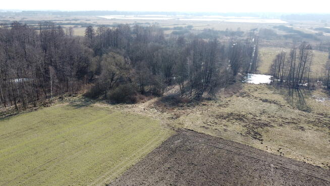Piękna działka rolno-budowlana, Żminne, Parczew.