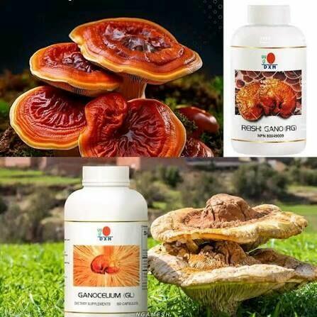 Szukasz zmiany? Chcesz zarabiać więcej, ale bez ryzyka?