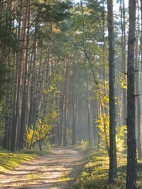 Ile miłości, tyle radości / zadowolenia z życia :)