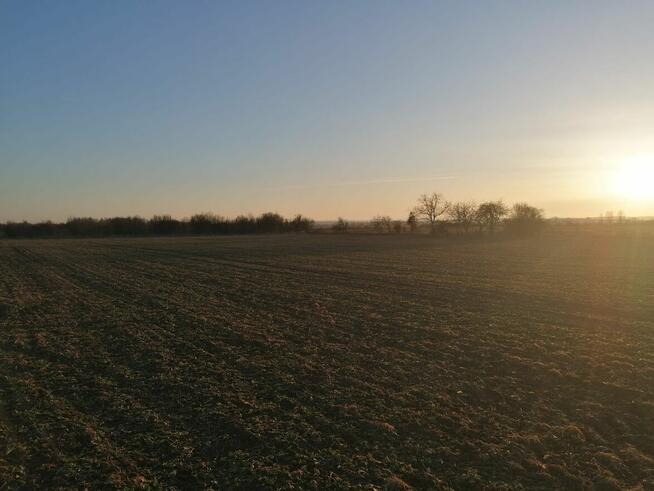 Sprzedam działkę rolną, 0,77 ha, Rzeszotary