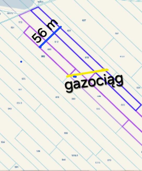 DZIAŁKI ROLNE w Bełżycach - Zastawie