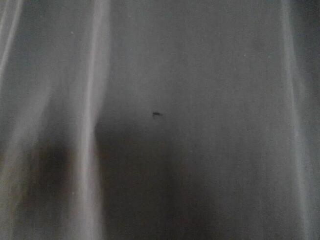 Czarny płaszcz Zara XL (na osobę 175-185cm) unisex