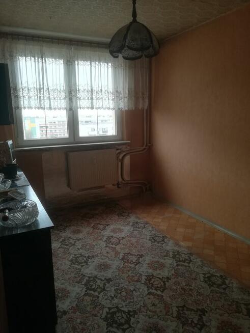 Żory - mieszkanie typu M-6 na osiedlu Pawlikowskiego.