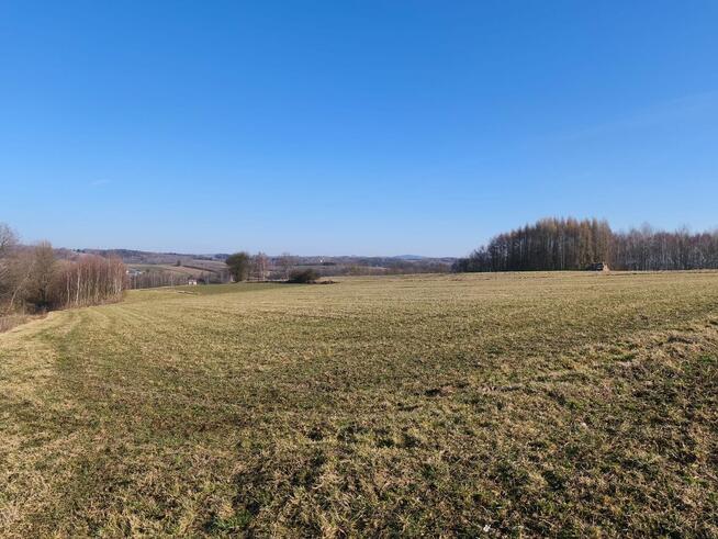 Działka 44 ary – Pogórze Ciężkowickie, widok na Liwocz