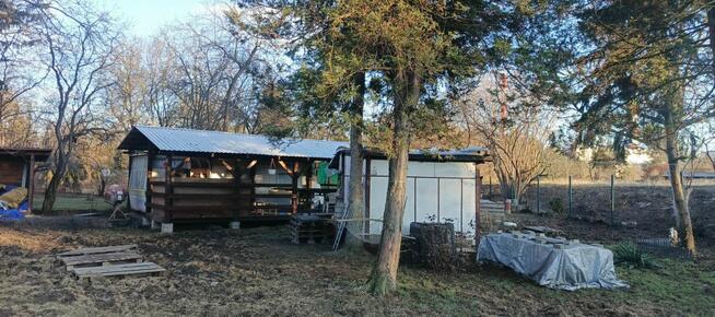 Działka rekreacyjna ROD Mazowsze