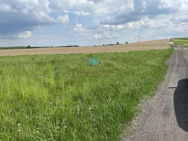 Działka budowlana Sokołowo gm. Witkowo, Sokołowo