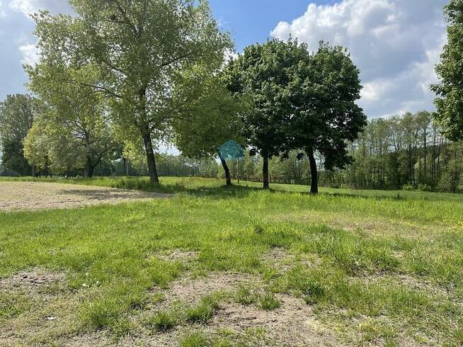 Działka rolno-budowlana Sokołowo gm. Witkowo, Sokołowo