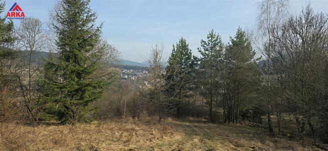 Działka rolna Kasina Wielka gm. Mszana Dolna