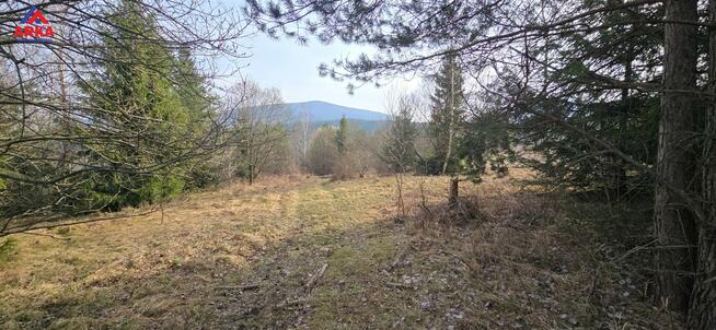 Działka rolna Kasina Wielka gm. Mszana Dolna