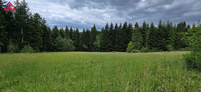 Działka rolna Skawa gm. Raba Wyżna
