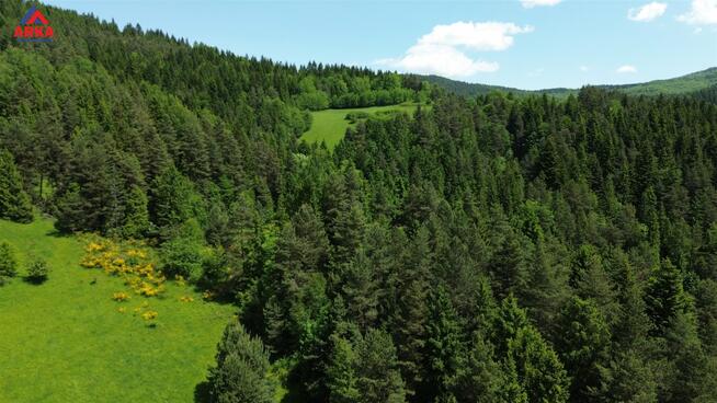 Działka leśna Łętowe gm. Mszana Dolna