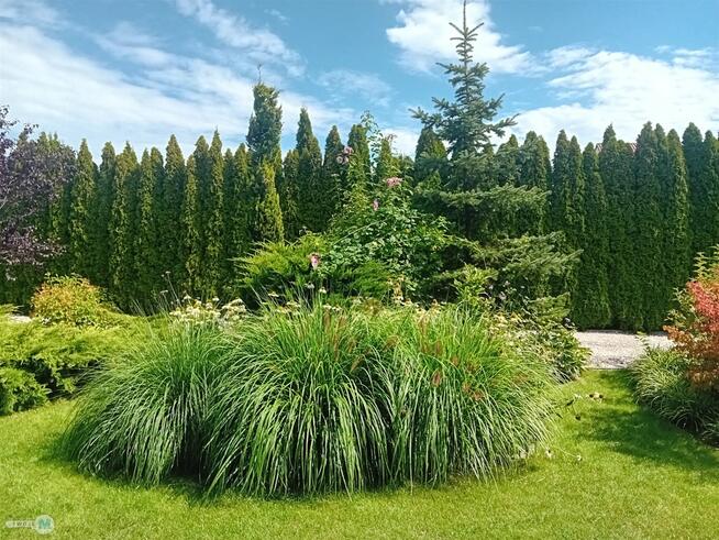 Dom Busko Zdrój Bronina