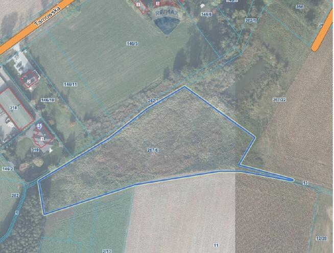 Działka inwestycyjna 9521m²–Napachanie blisko S11