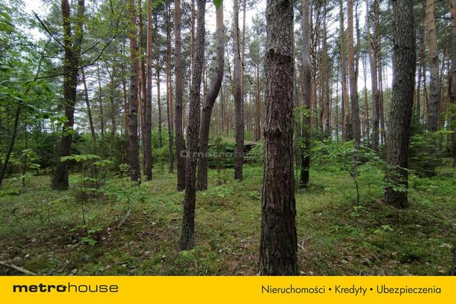 wolnostojący Dzbądz