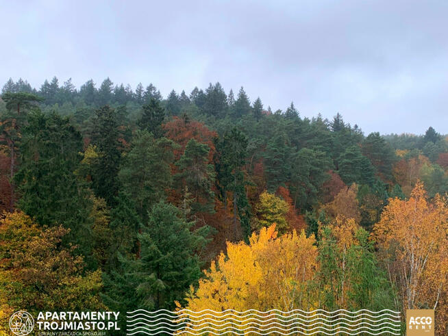 Mieszkanie Sopot, Adama Mickiewicza