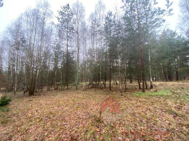 Działka Głęboczek gm. Czaplinek, Głęboczek