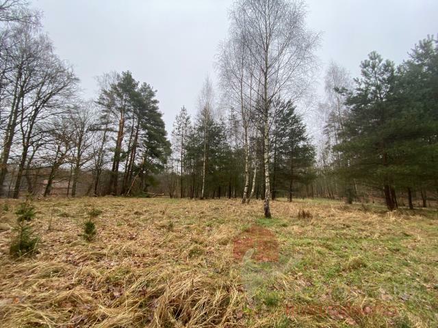 Działka Głęboczek gm. Czaplinek, Głęboczek