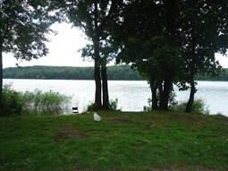 DZIAŁKI REKREACYJNO-BUDOWLANE