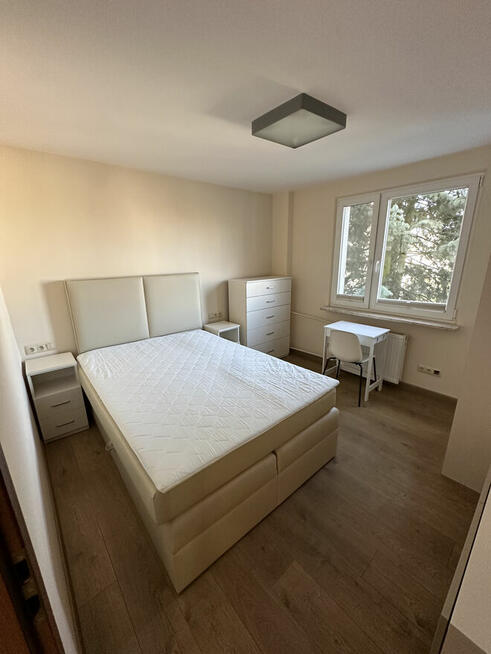 Mieszkanie do wynajęcia 53m2