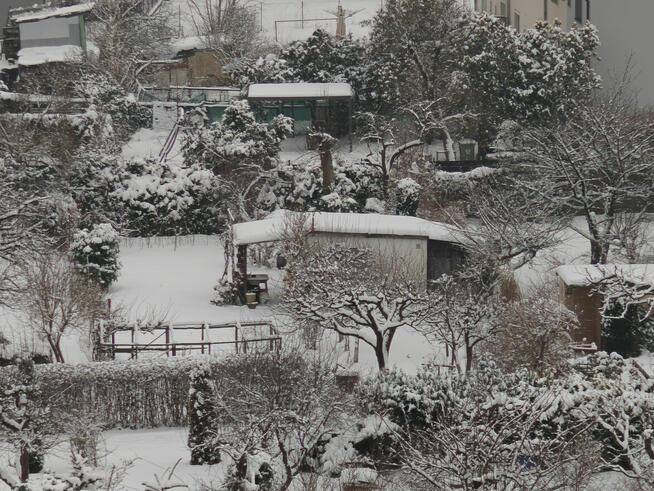 Działka 400 m2 ROD Magnolia z altanką